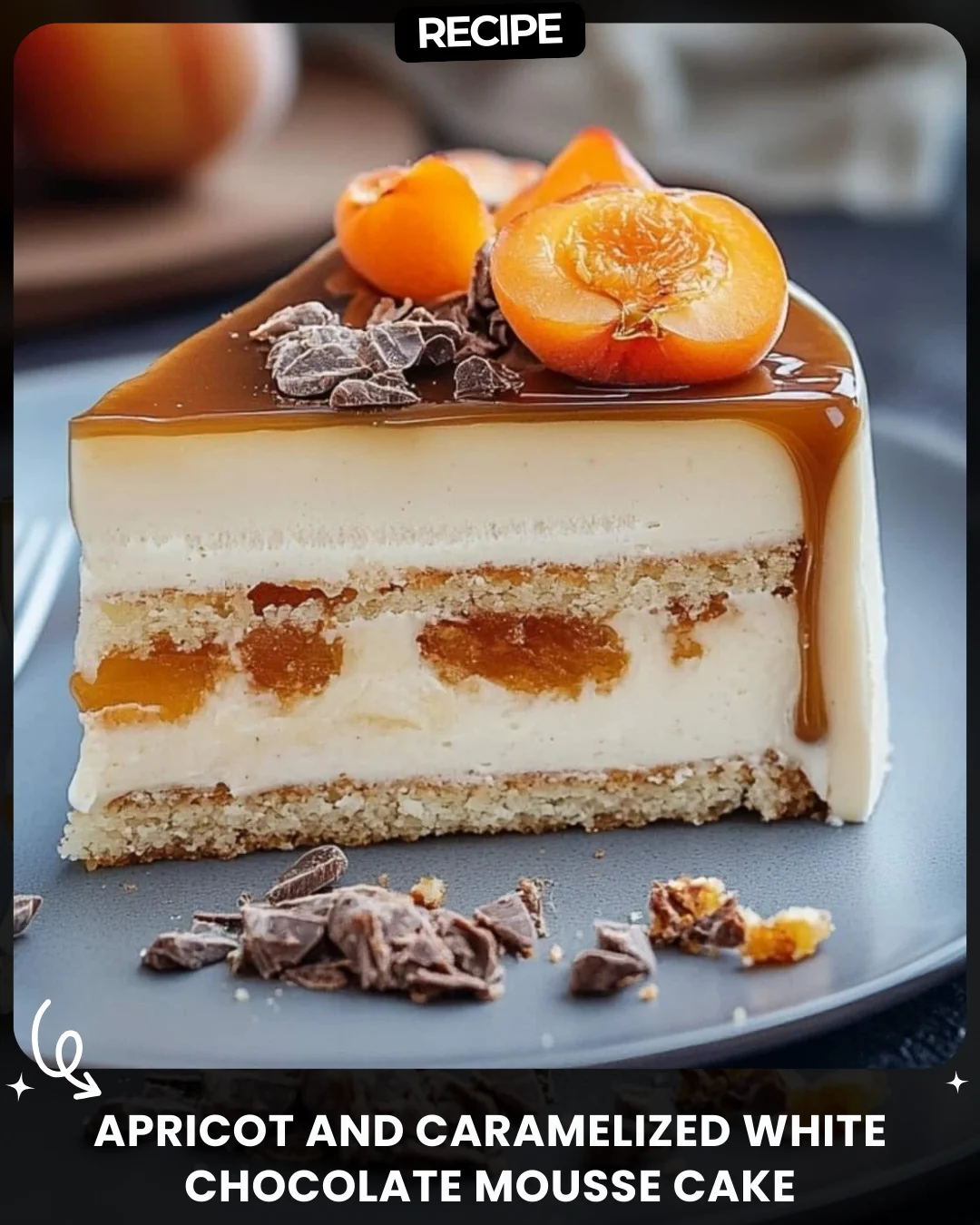 Apricot and Caramelized White Chocolate Mousse Cake