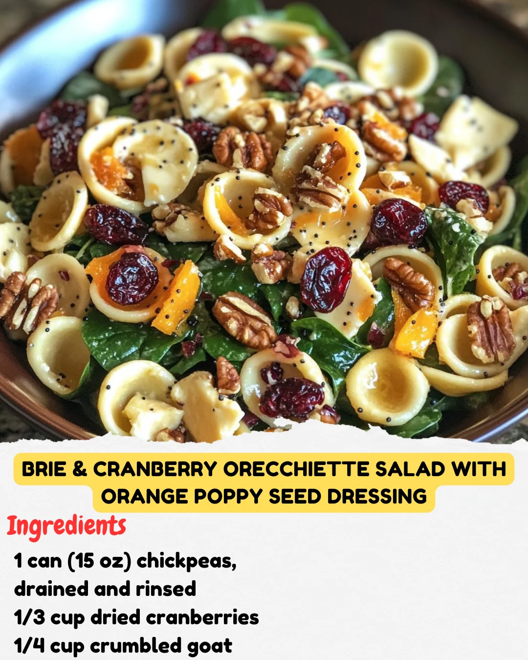 Brie & Cranberry Orecchiette Salad with Orange Poppy Seed Dressing