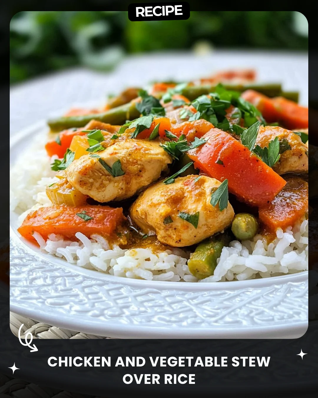 Chicken and Vegetable Stew Over Rice