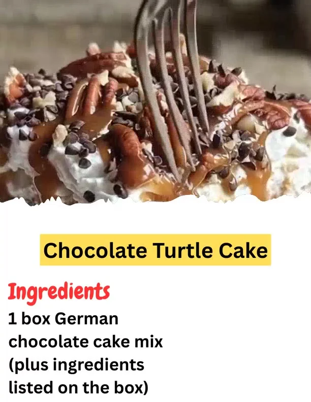 Chocolate Turtle Cake