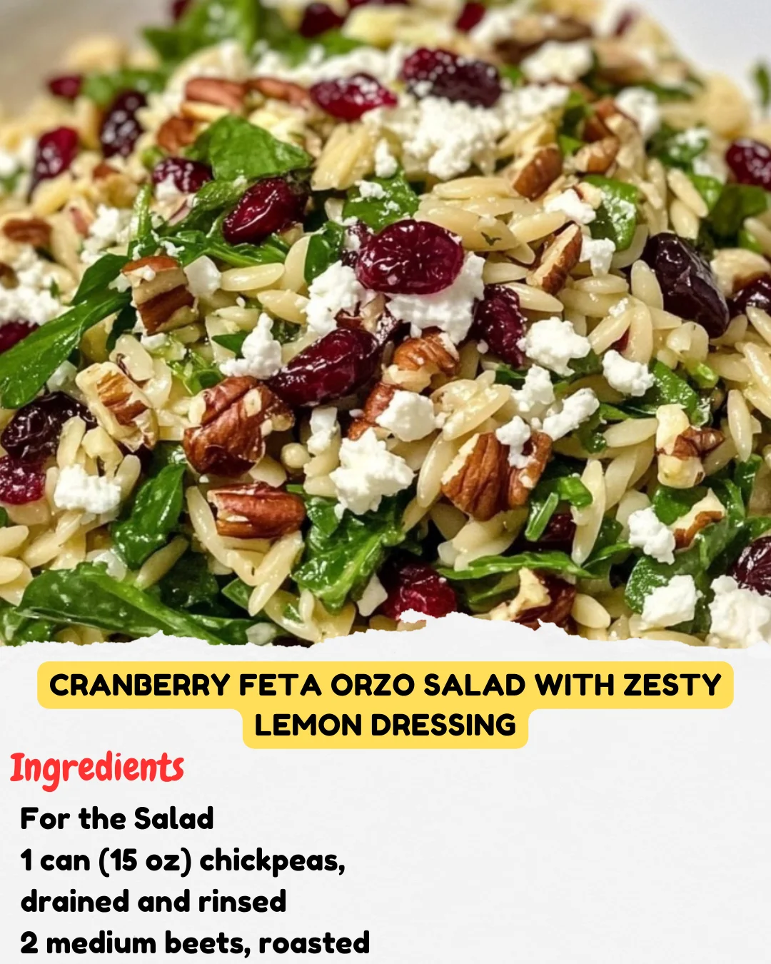 Cranberry Feta Orzo Salad with Zesty Lemon Dressing