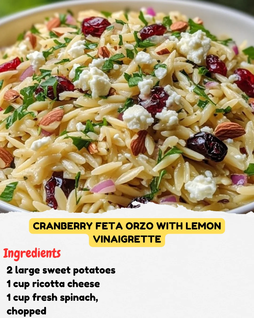 Cranberry Feta Orzo with Lemon Vinaigrette