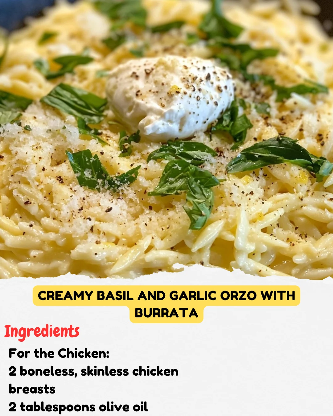 Creamy Basil and Garlic Orzo with Burrata