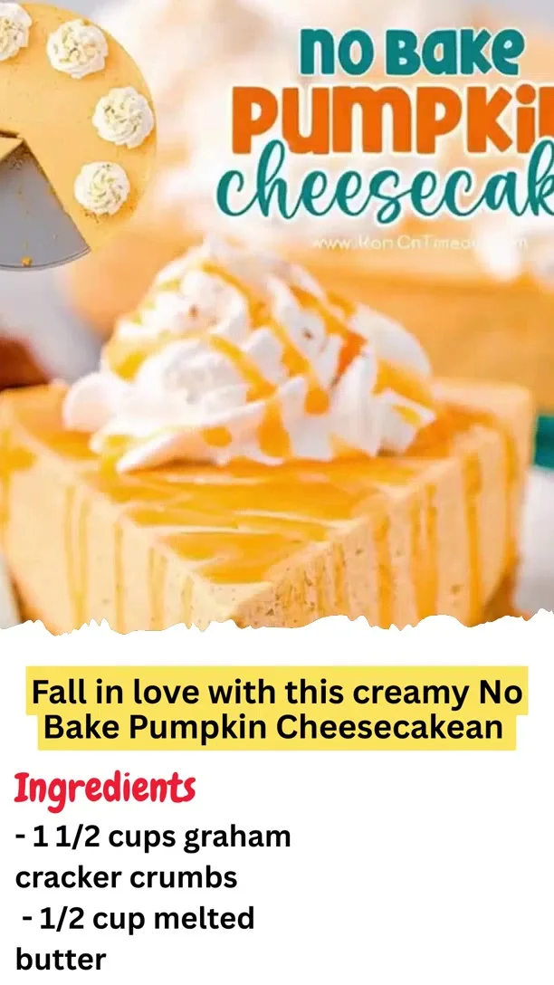 creamy No Bake Pumpkin Cheesecakean