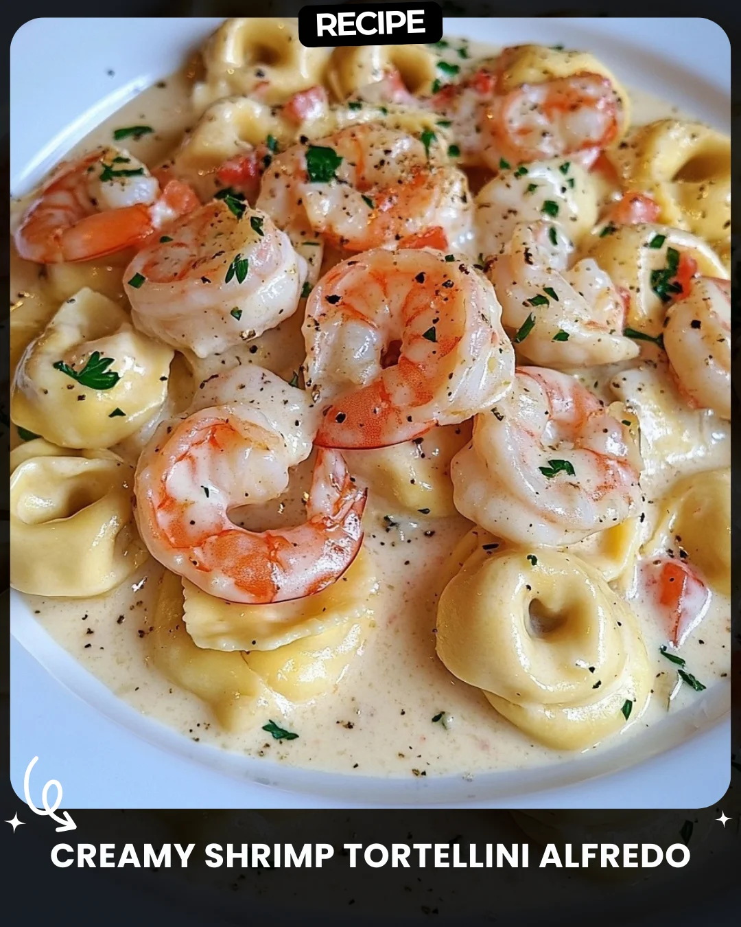 Creamy Shrimp Tortellini Alfredo