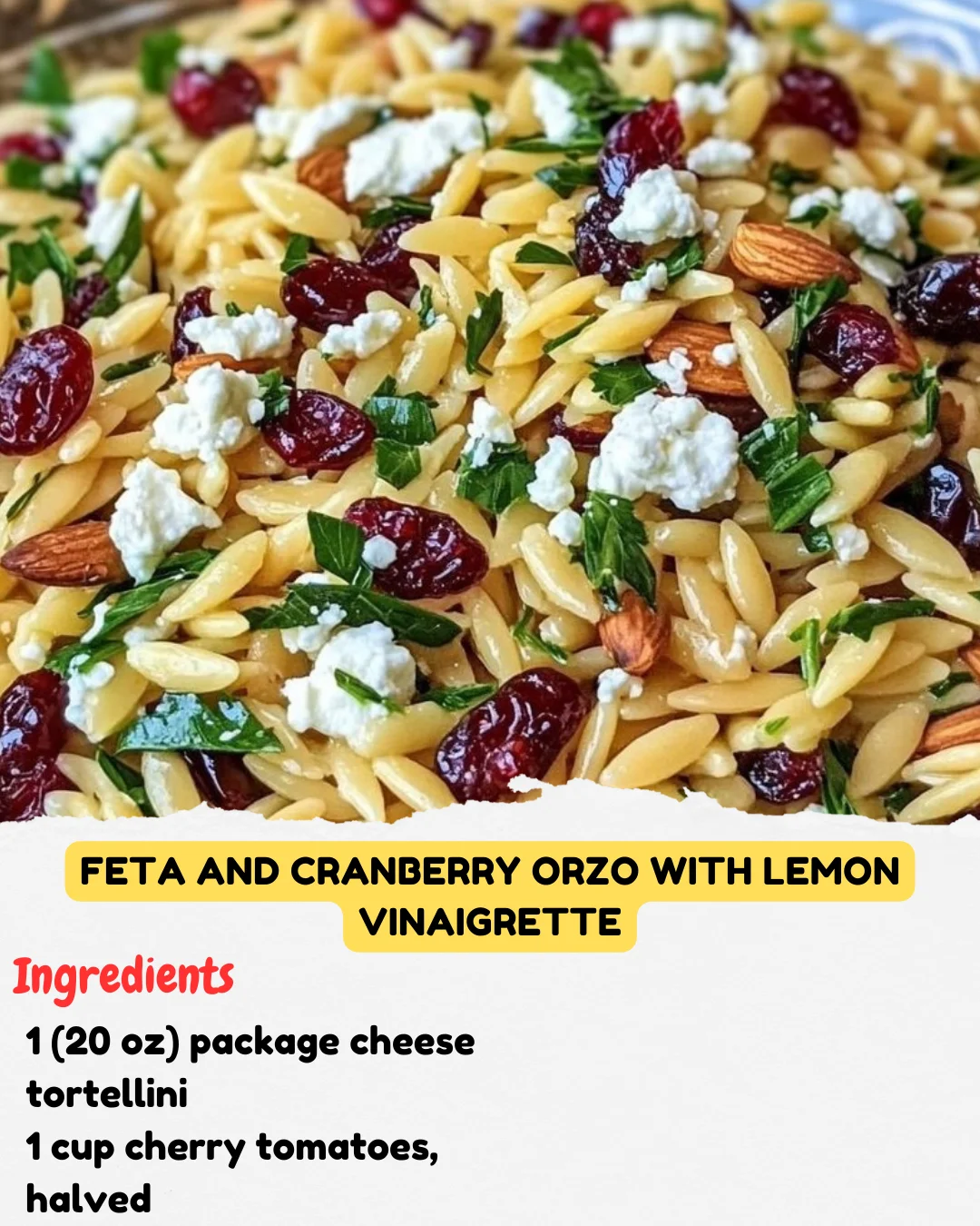 Feta and Cranberry Orzo with Lemon Vinaigrette
