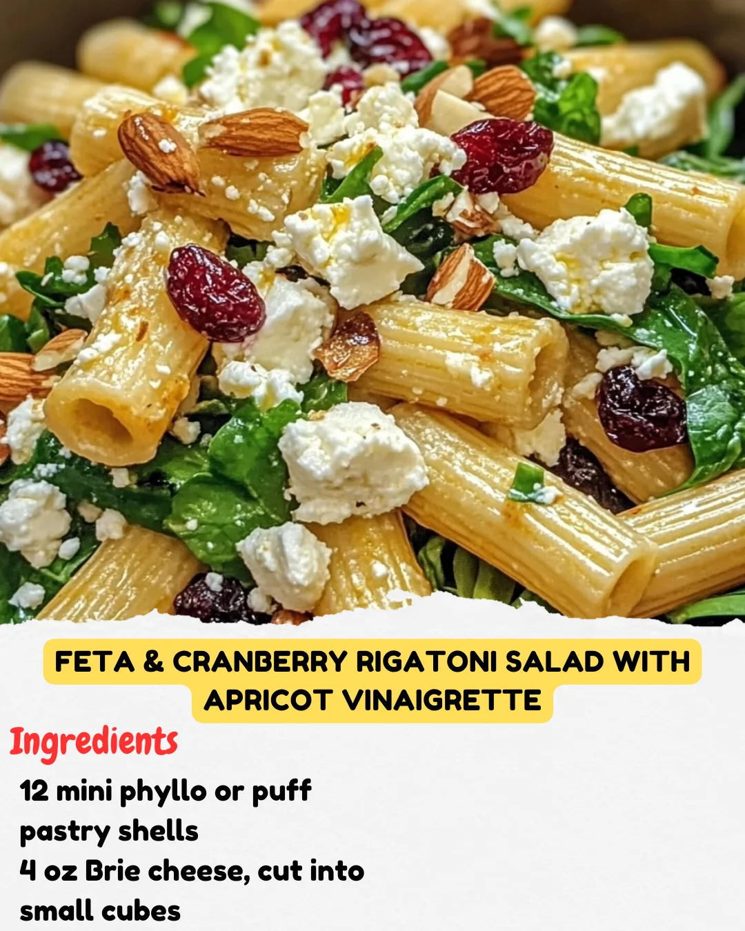 Feta & Cranberry Rigatoni Salad with Apricot Vinaigrette