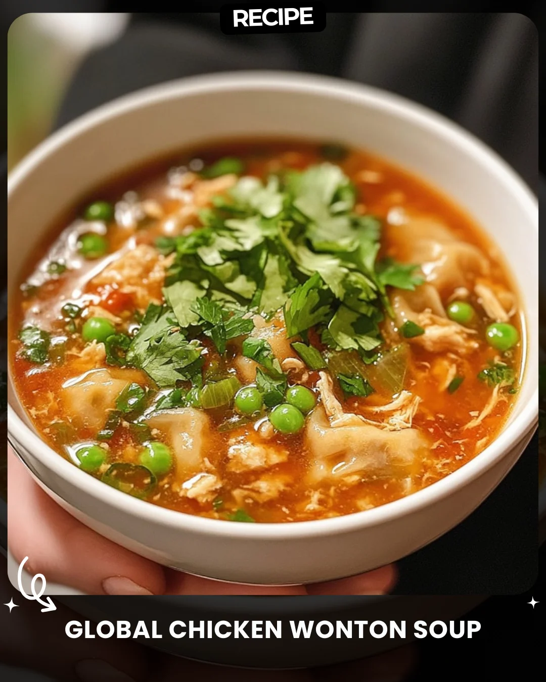 Global Chicken Wonton Soup