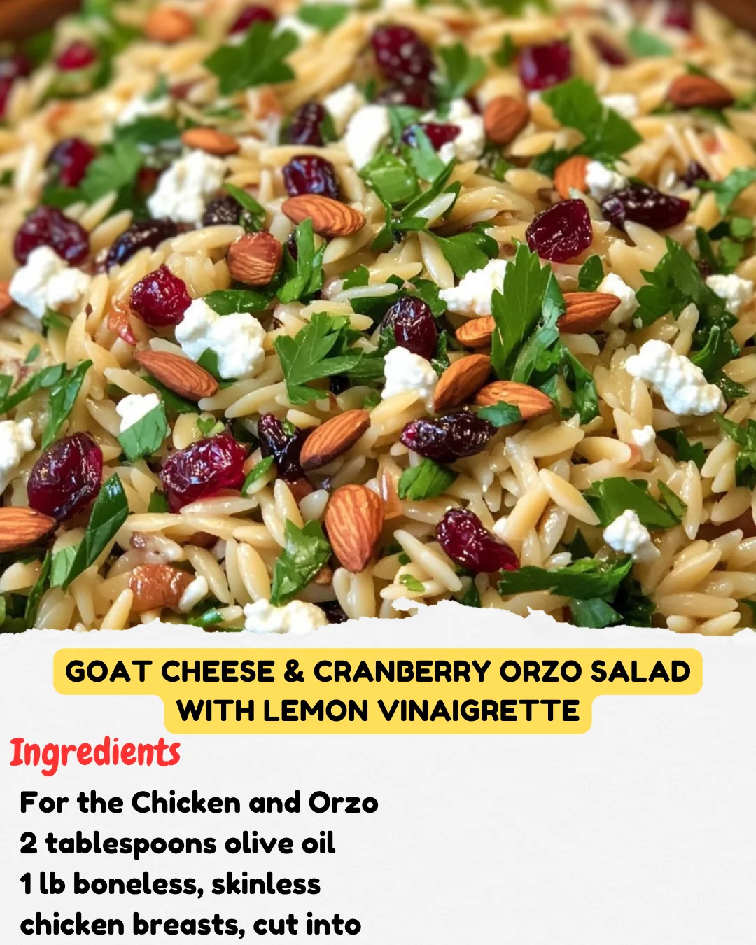 Goat Cheese & Cranberry Orzo Salad with Lemon Vinaigrette