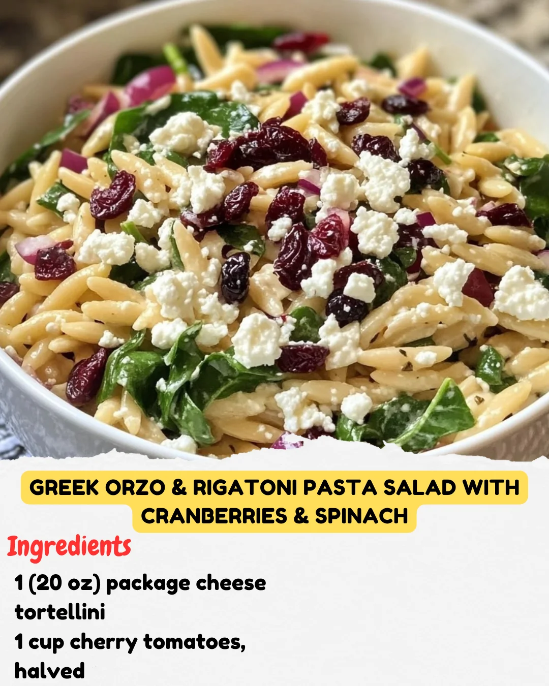 Greek Orzo & Rigatoni Pasta Salad with Cranberries & Spinach