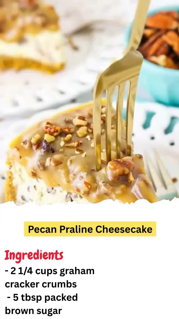 Pecan Praline CheesecakE