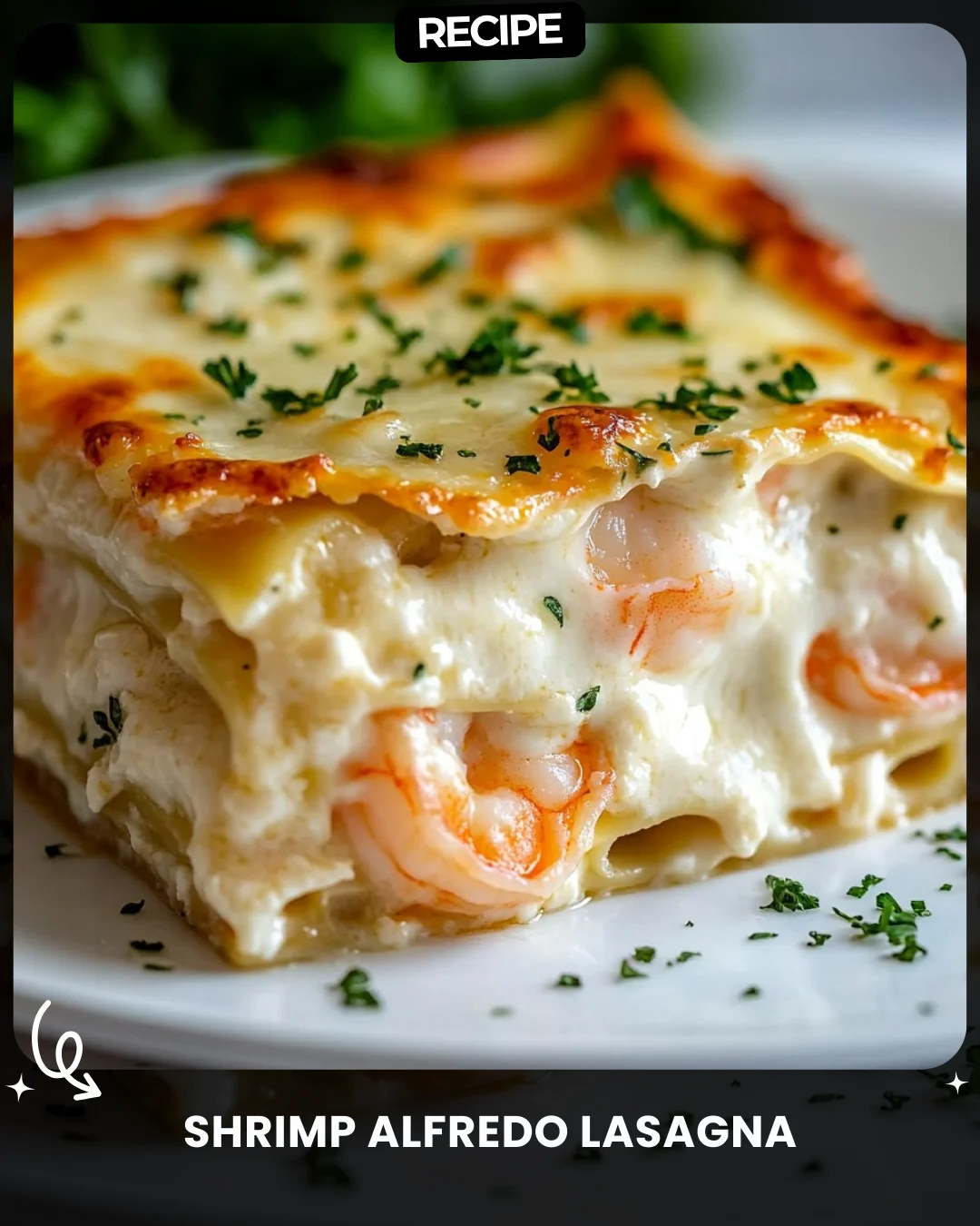 Shrimp Alfredo Lasagna