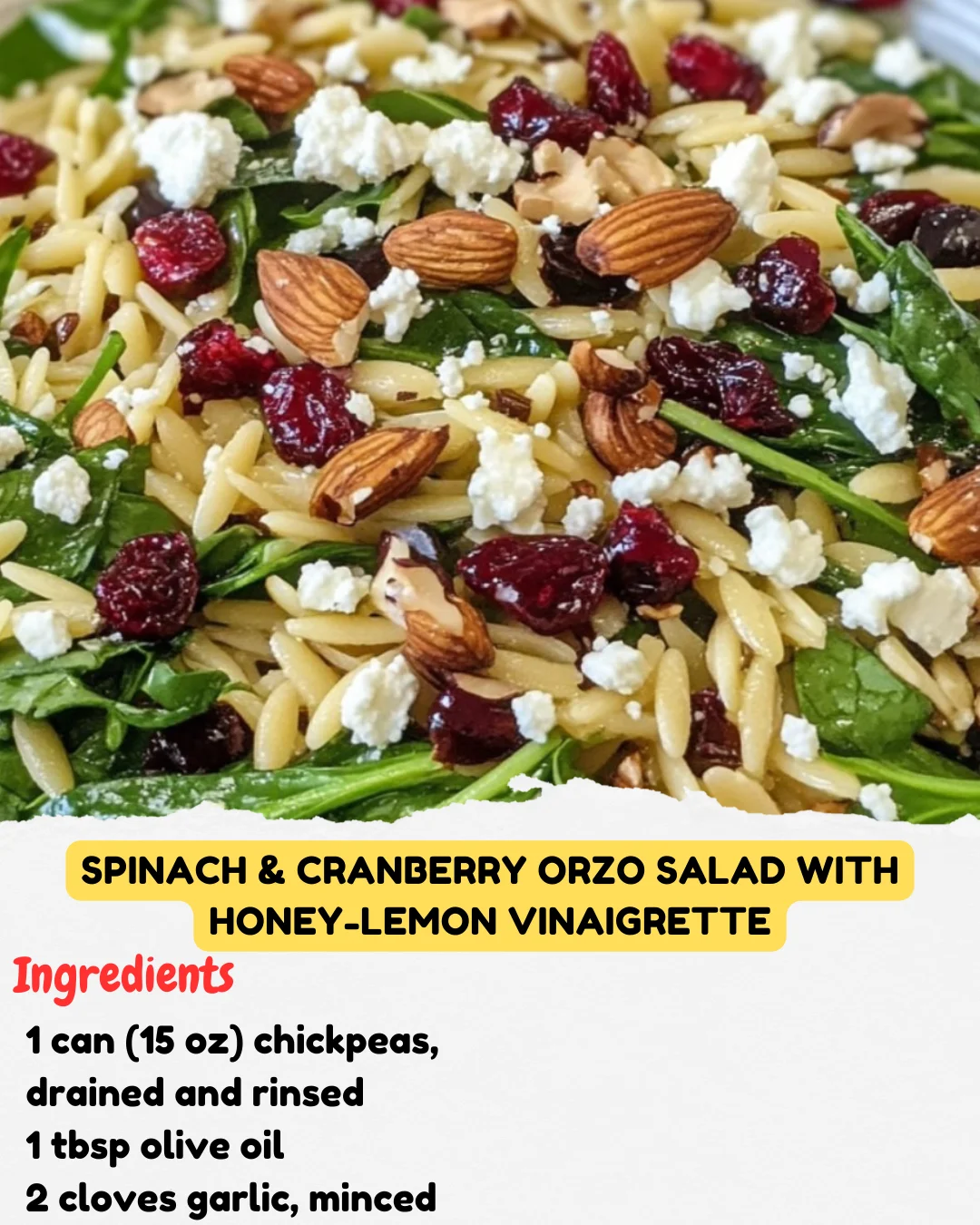 Spinach & Cranberry Orzo Salad with Honey-Lemon Vinaigrette