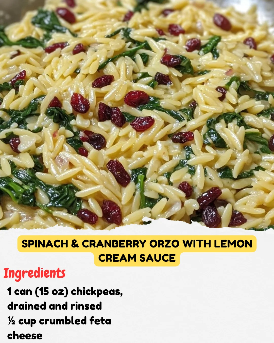 Spinach & Cranberry Orzo with Lemon Cream Sauce