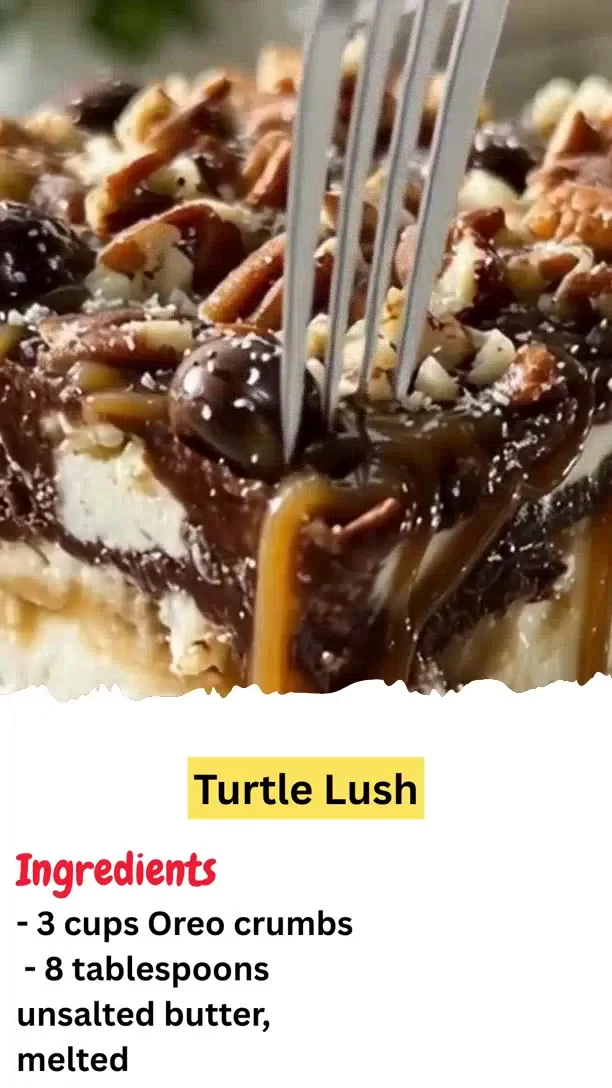 Turtle Lush