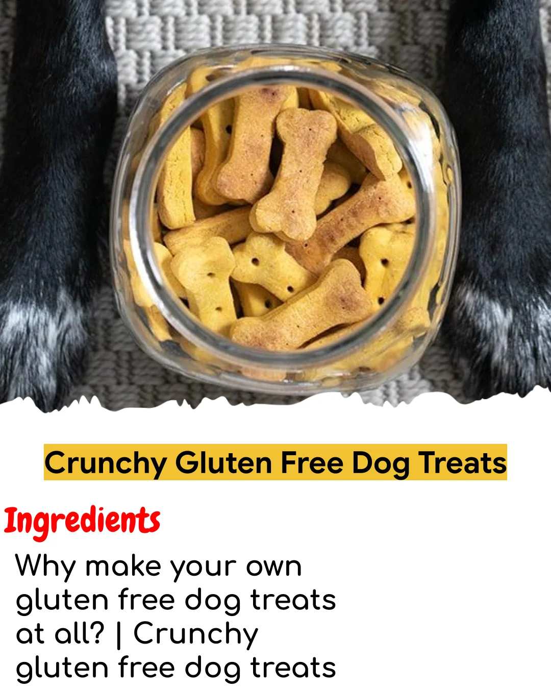 Crunchy Gluten Free Dog Treats (Tested 10+ Times)