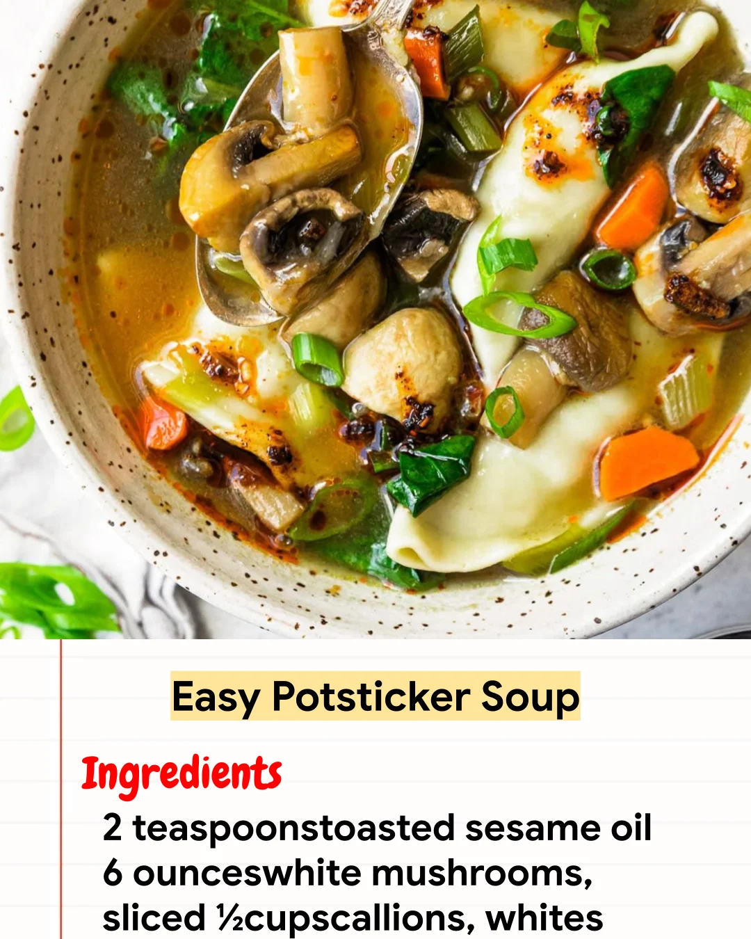 High protein Recipe Easy Potsticker Soup
