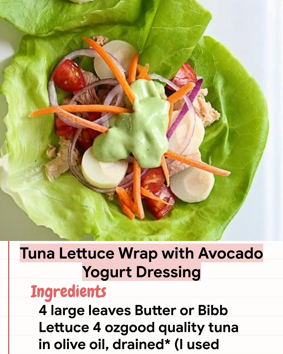 Low Carb Recipe Tuna Lettuce Wrap with Avocado Yogurt Dressing