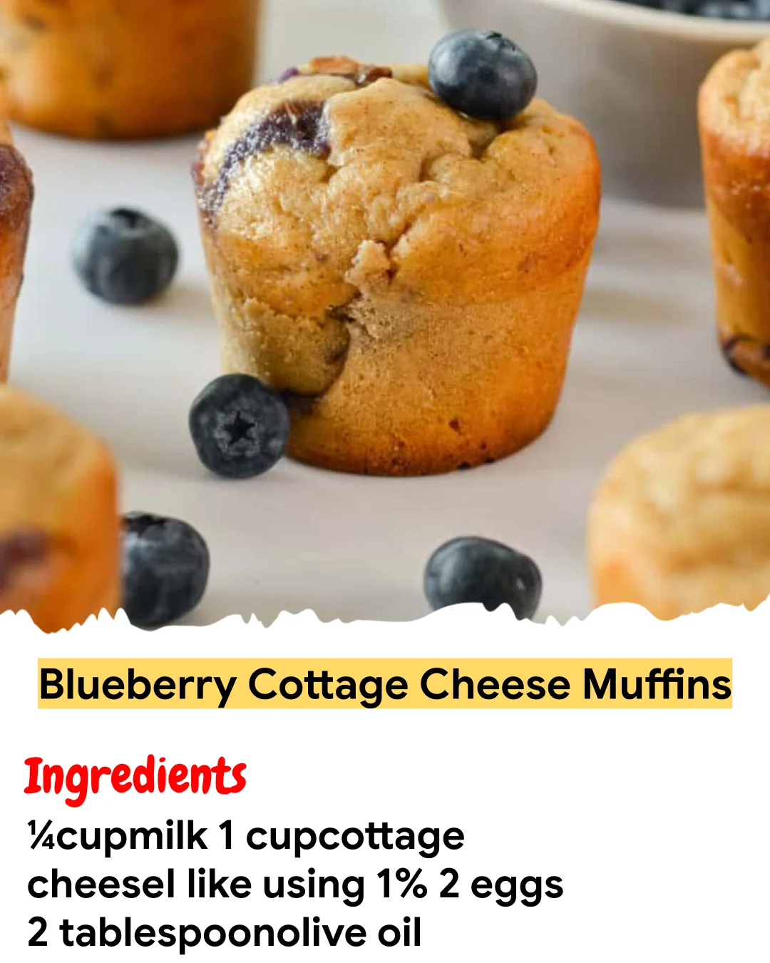 Meal Prep Recipe Blueberry Cottage Cheese Muffins