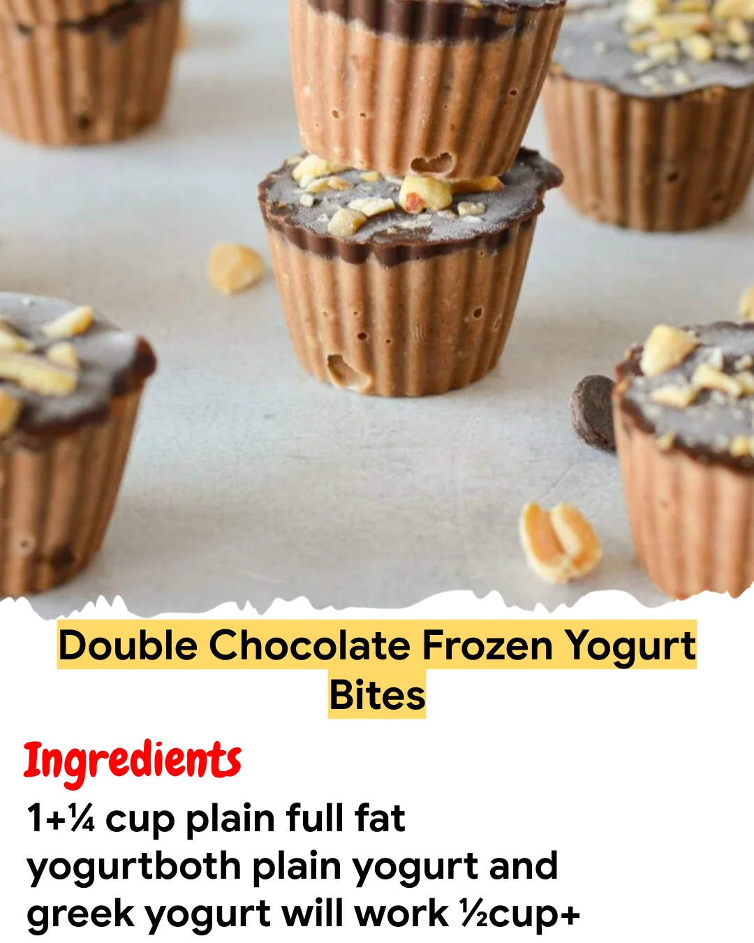 Meal Prep Recipe Double Chocolate Frozen Yogurt Bites