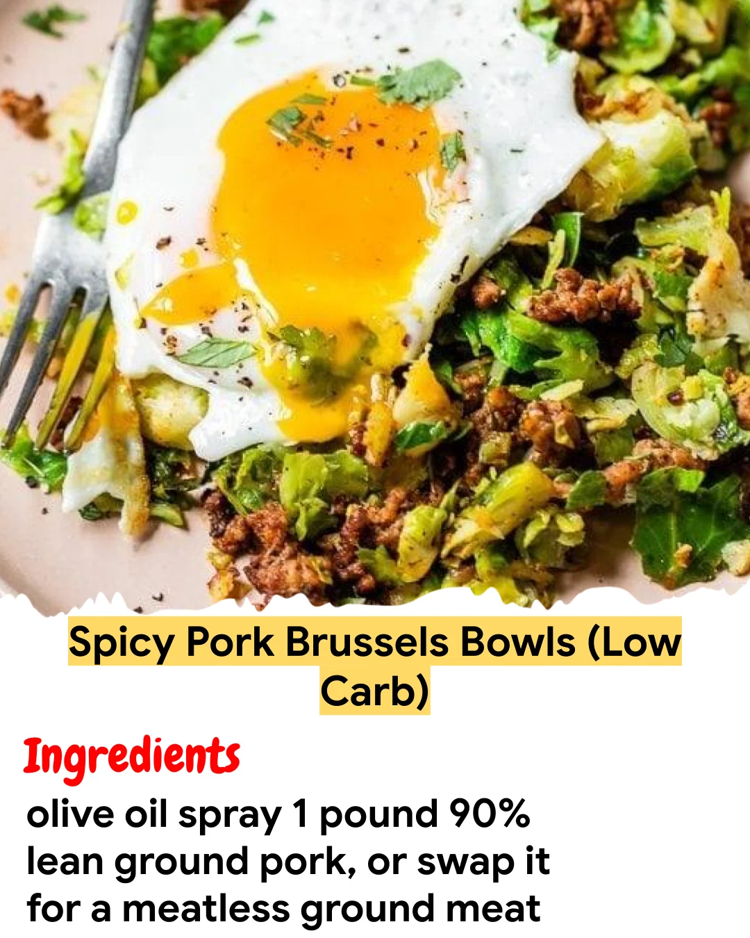 Meal Prep Recipe Spicy Pork Brussels Bowls (Low Carb)