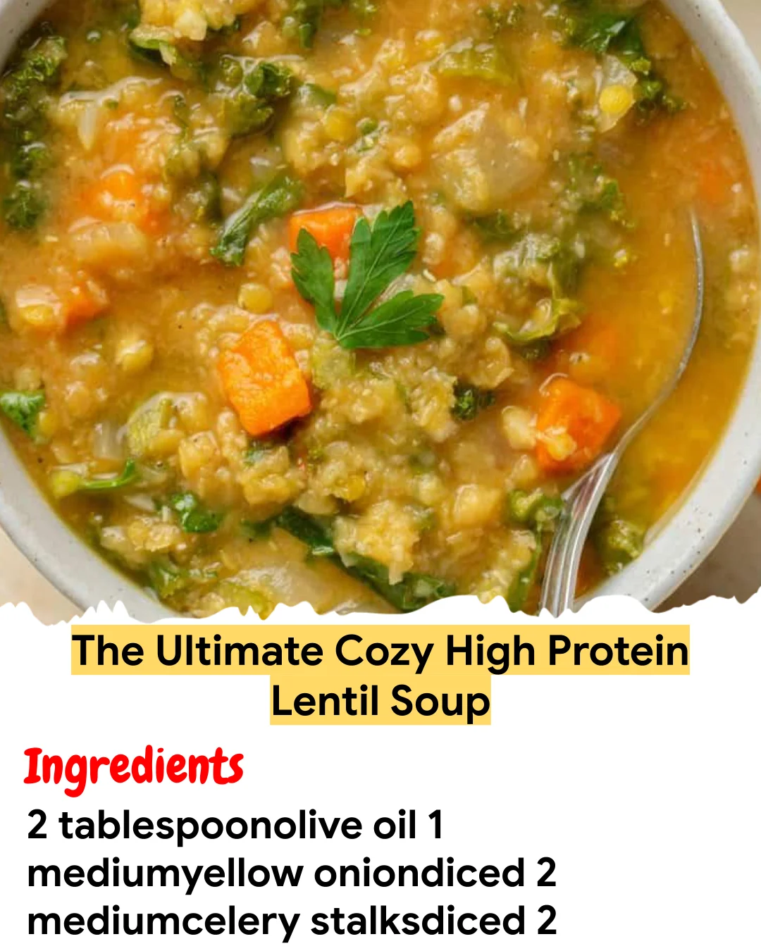 Meal Prep Recipe The Ultimate Cozy High Protein Lentil Soup