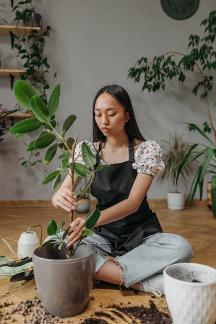 The Self-Care Framework: 5 Pillars